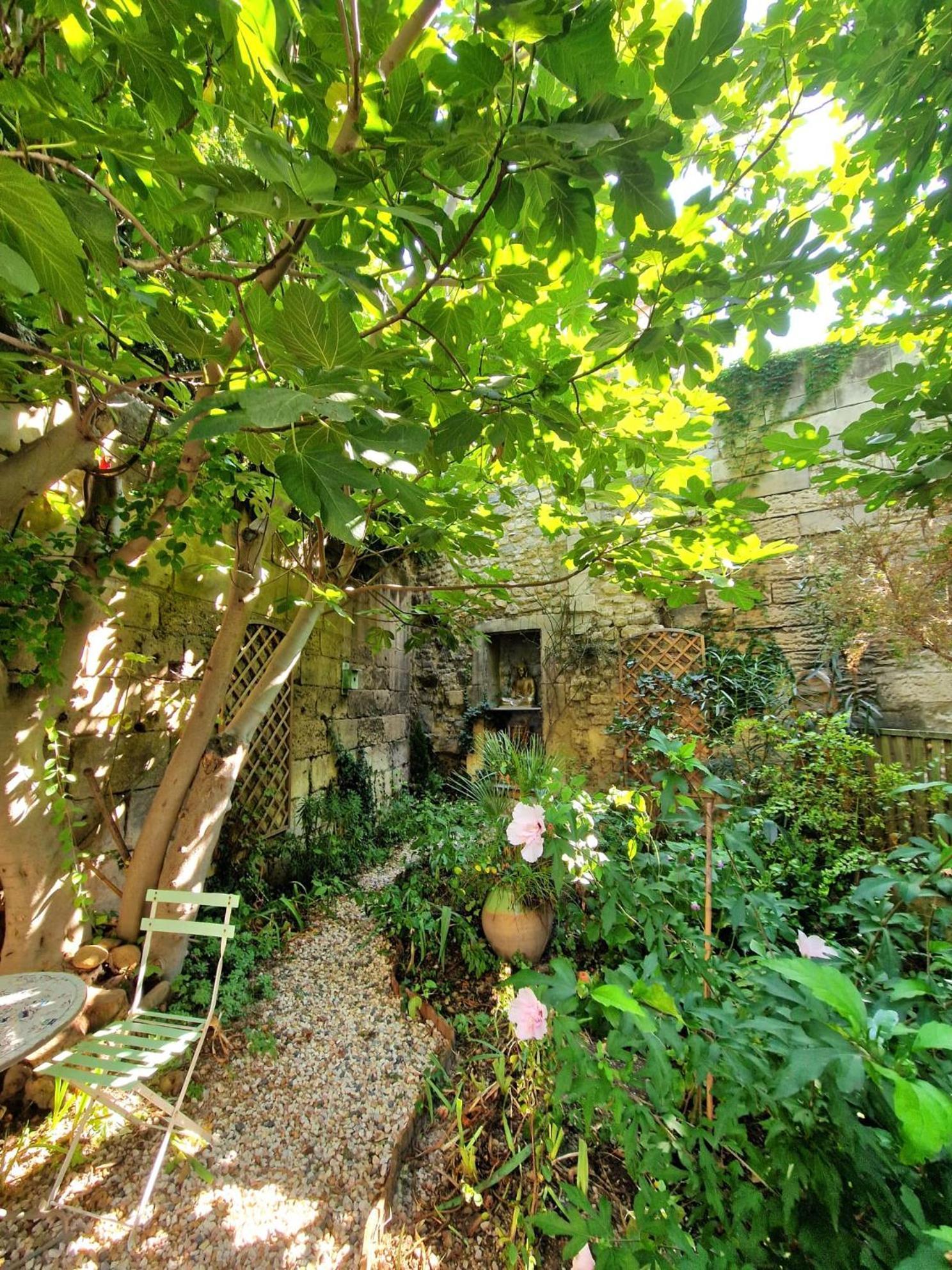 Апартаменти Capucines, Un Jardin Secret Dans Le Centre Historique Арль Екстер'єр фото